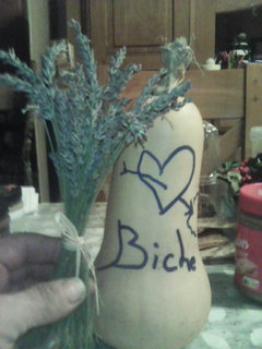 Ouways - Sint-Martens-Latem - Flandre orientale | Massage Nue