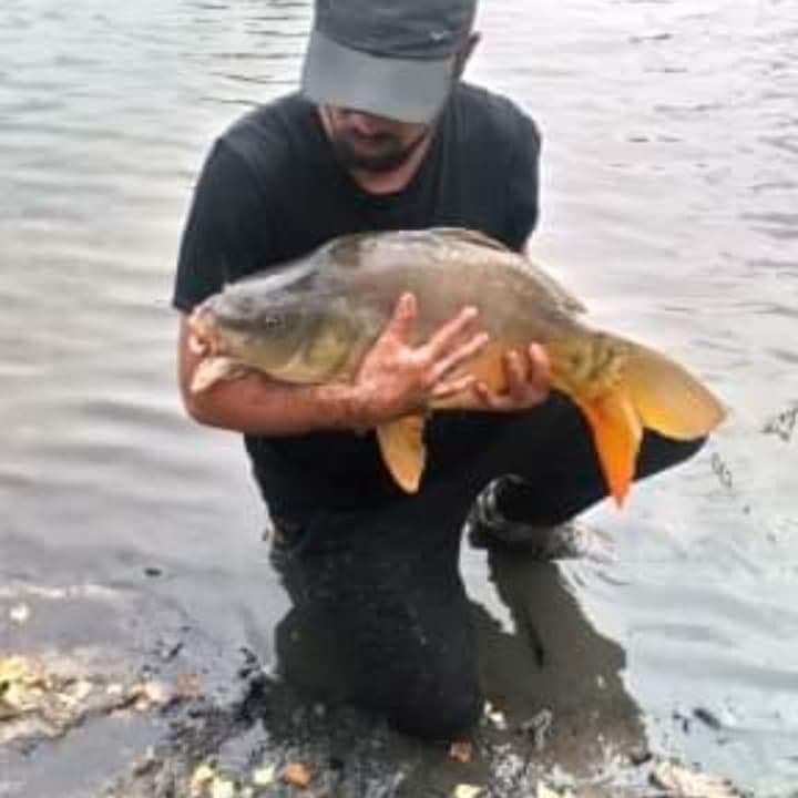 Zied - Somme-Leuze - Namur | Massage Nue