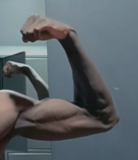 Enea - Erpe-Mere - Flandre orientale | Massage Nue